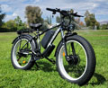 philodo h8 ebike